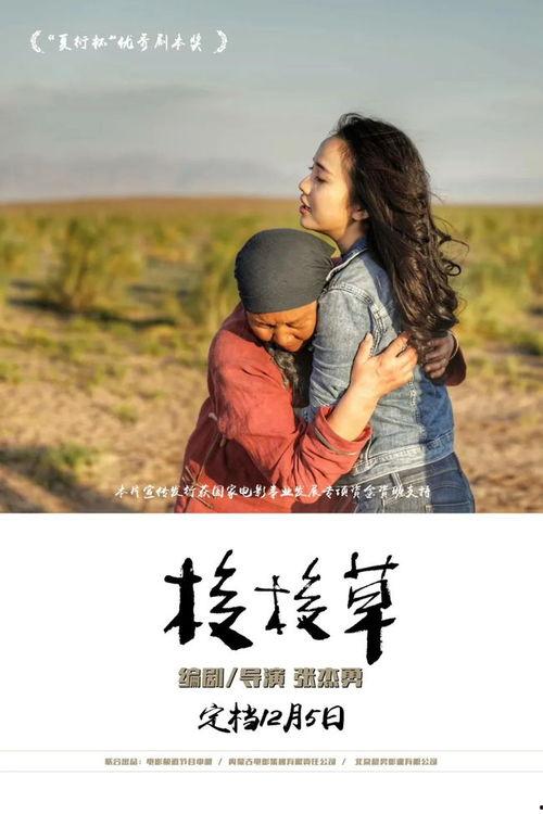 草电影在线观看,揭秘网络观影新潮流  第1张